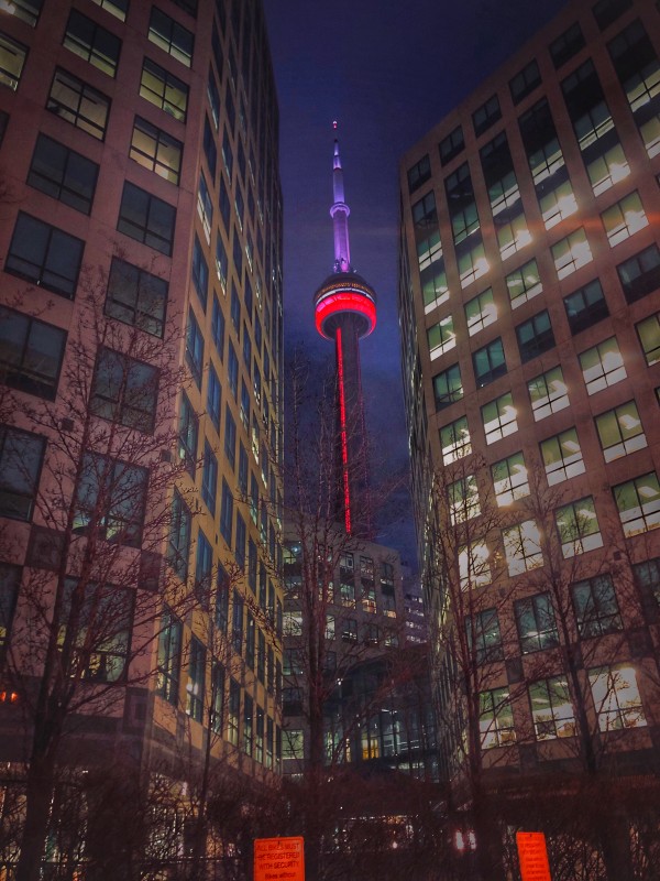 Blue Jays  Way  Digital Download